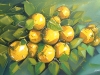 limon_toronja_120x80