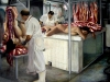 6-somos-carne-2008-130-x-170-cm